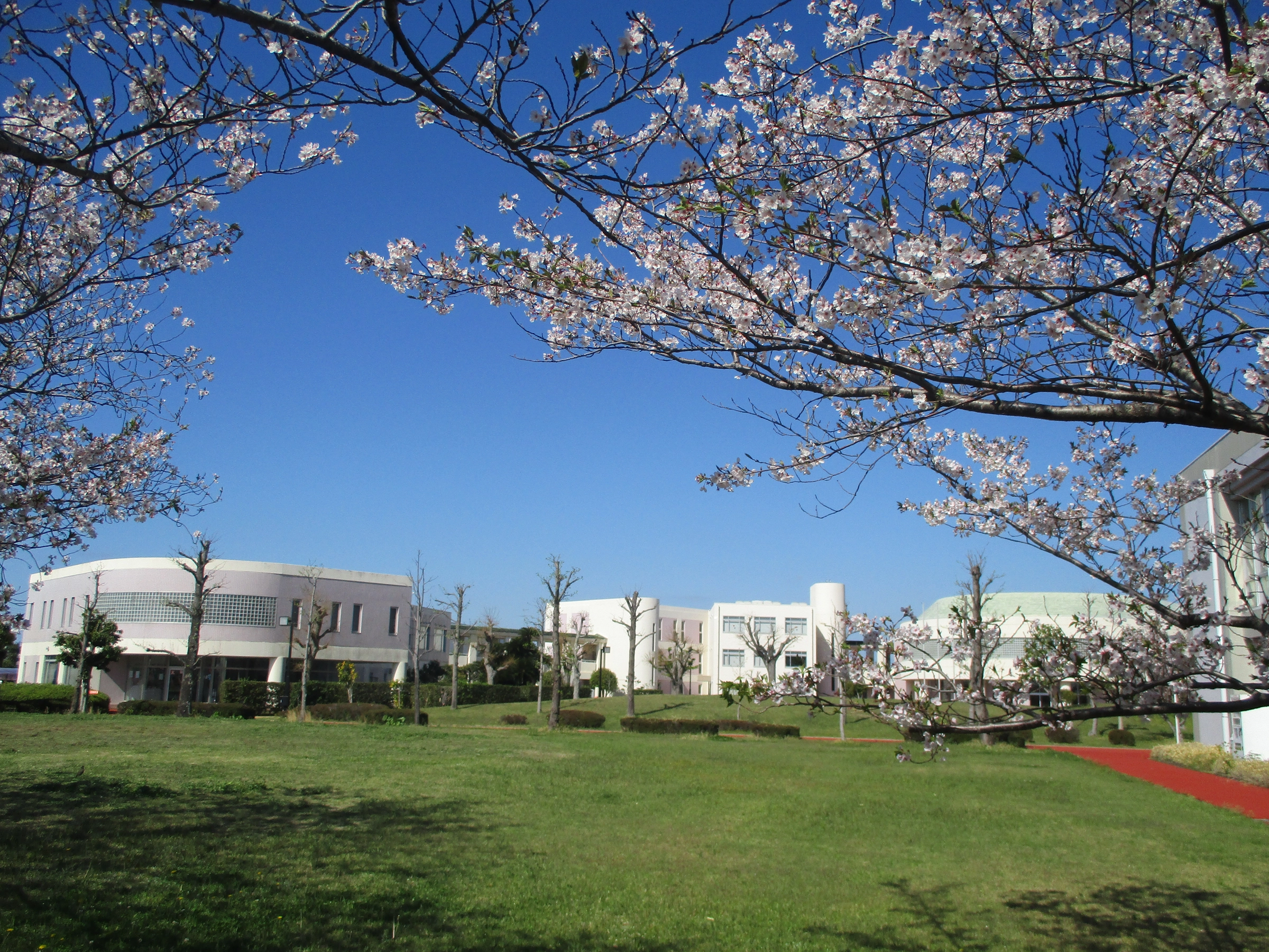 静岡福祉大学同窓会 福華会